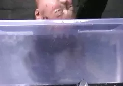 أمي الحمار افلام سكعربي