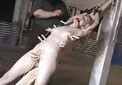 نوعية بدي فيلم سكس عربي جيدة